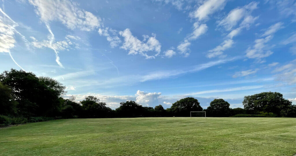 The playing fields